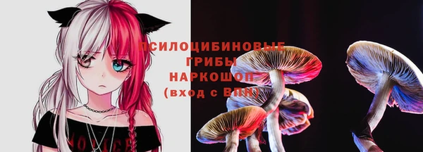 мдма Дмитровск