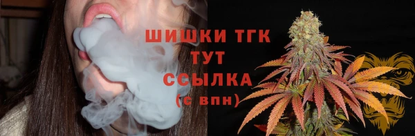 таблы Дмитриев