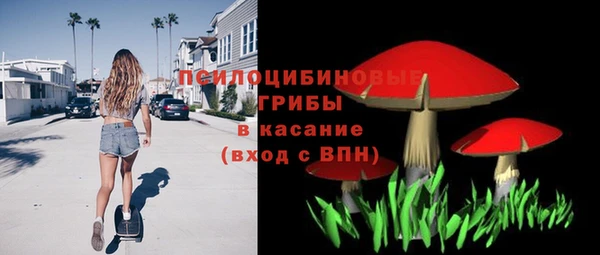 прущая мука Дмитров
