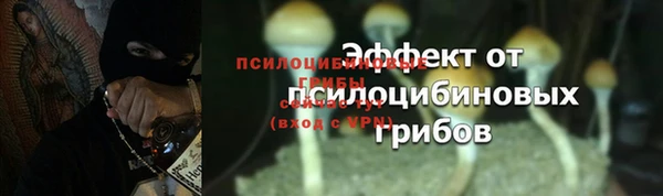 мдма Дмитровск