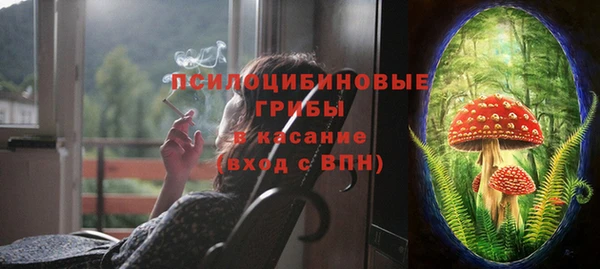 прущие крисы Елизово