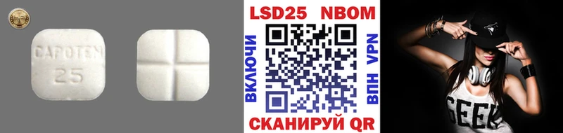 мориарти как зайти  Семёнов  LSD-25 экстази ecstasy  omg  